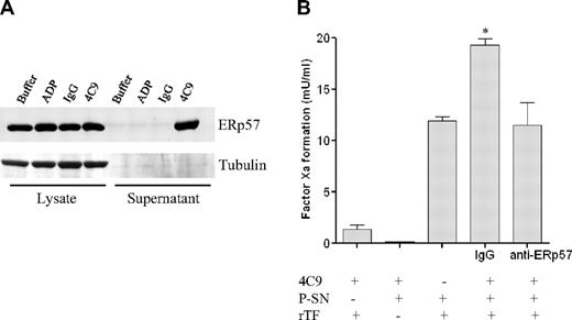 Figure 5. GPVI-activated platelets release ERp57. (A) Detection of ERp57 in platelets and platelet releasates by Western blot analysis. Cellular lysates and supernatants were obtained from platelets treated with either phosphate-buffered saline buffer, control IgG (RmC7H8), GPVI antibody HGP4C9 (1 μg/mL), or ADP (20μM) for 10 minutes, and ERp57 expression (57-kDa protein) was determined by Western blot analysis. (B) GPVI-activated platelets release functionally active ERp57, which stimulates blood coagulation in the presence of recombinant tissue factor (rTF). Supernatants (P-SNs) recovered from HGP4C9 (1 μg/mL)–activated platelets (2 × 107) were incubated with recombinant human TF (Innovin) plus anti-ERp57 or control antibody (IgG) for 15 minutes. TF-induced factor Xa formation was quantified by hydrolysis of the specific substrate S2222 (n = 3, mean ± SEM, *P < .05 IgG vs anti-PDI antibody).