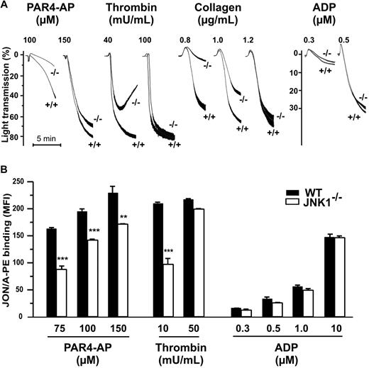 Figure 3. JNK1−/− platelets show impaired aggregation responses, associated with defective activation of αIIbβ3. (A) The effect of JNK1 deletion on platelet aggregation. Aggregation of washed platelets (108), monitored by measuring light transmission through stirred suspensions of WT (+/+) or JNK1−/− (−/−) platelets, was initiated by adding the PAR4 agonist peptide (PAR4-AP; 100 and 150μM), thrombin (40 and 100 mU/mL), collagen (0.8-1.2 μg/mL), or ADP (0.3 and 0.5μM). Aggregation was measured and expressed as the percentage change in light transmission, with the value for the blank (buffer without platelet) set at 100%. Traces are representative of at least 3 independent experiments. (B) Integrin αIIbβ3 activation assessed by flow cytometry of WT platelets or JNK1−/− platelets, activated by PAR4-AP (75-150μM), thrombin (10 and 50 mU/mL), or ADP (0.3-10μM). Platelets were incubated with a phycoerythrin-labeled rat anti–mouse integrin αIIbβ3 mAb (JON/A) specific for the activated conformation of the mouse integrin. Flow cytometry was performed, without stirring, to prevent platelet aggregation. The level of activated integrin is indicated by the mean fluorescence intensities (MFI) plus or minus SEM, in arbitrary units, from at least 3 experiments. **P < .01, ***P < .001 (unpaired Student t test).