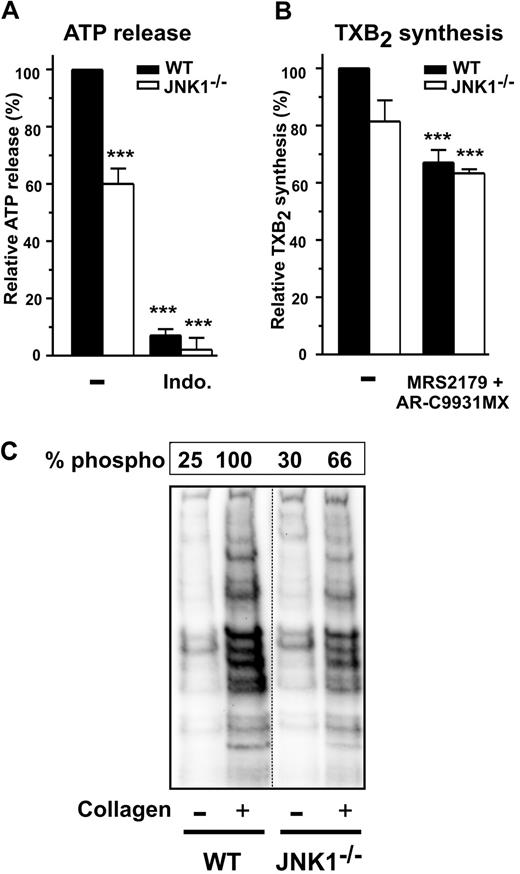 Figure 5. The PKCs involved in platelet secretion require JNK1. Dense granule secretion (measured by ATP release, A) and TXA2 synthesis (measured by production of TXB2, B) were determined for WT and JNK1−/− washed platelets (108) after stimulation with collagen (1 μg/mL), with stirring, over 3 minutes. When indicated, platelets were first incubated for 10 minutes at 37°C with the cyclooxygenase inhibitor indomethacin (5μM) or the antagonists of ADP receptors, MRS2179 (100μM) and AR-C69931MX (10μM). Data are expressed as the relative percentage of ATP released (A) or of TXB2 produced (B). Each bar represents the mean plus or minus SEM of 3 experiments. ***P < .001 (unpaired Student t test). (C) The PKC activity of WT and JNK1−/− platelets (108) induced by collagen (1 μg/mL), with stirring, over a period of 3 minutes. Stimulated platelets were lysed and samples analyzed by Western blotting with an antibody against phosphorylated PKC substrates. The levels of phosphorylation of PKC substrates were evaluated as described in “Methods,” for WT and JNK1−/− platelets. The Western blot shown is representative of at least 3 independent experiments.
