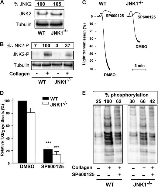 Figure 6. Complementary roles of JNK1 and other JNK isoforms in platelet aggregation, TXA2 synthesis, and PKC activity. The levels of JNK2 expression (A) and phosphorylation (B) were evaluated by Western blotting with appropriate antibodies directed against total JNK2 or phosphorylated JNK2 for WT and JNK1−/− platelets (108) stimulated with collagen (1 μg/mL) for 3 minutes, with stirring. Tubulin was used as a loading control. The Western blot shown is representative of at least 3 independent experiments. The complementary roles of JNK1 and the other JNK isoforms were evaluated for platelet aggregation (C), TXA2 synthesis (measured by evaluating production of TXB2 (D), and PKC activity (by Western blotting with an antibody directed against phosphorylated PKC substrates; E), in WT or JNK1−/− platelets (108), incubated for 10 minutes at 37°C with DMSO (0.1%, vol/vol), as a control, or with the pan-JNK inhibitor SP600125 (10μM), before stimulation with collagen (1 μg/mL) for 3 minutes, with stirring. The traces and Western blot shown are representative of at least 3 independent experiments. Thromboxane production was assessed by analysis of the supernatants of aggregated platelets, as described in “Methods.” Each bar represents the mean plus or minus SEM of 3 experiments. ***P < .001 (unpaired Student t test).