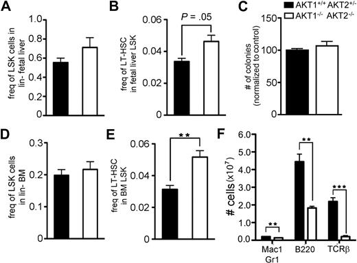 Figure 2. Central and peripheral hematopoietic reconstitution by AKT1−/−AKT2−/− FL-derived HSCs. The frequency of (A) LSK cells in the lineage-negative gate or (B) LT-HSCs (CD150+CD48−LSKs) in the total LSK gate of E14.5 FLs. Graphs represent the mean ± SEM (n = 5). (C) The total number of colonies generated 10 days after equal numbers of FL cells were plated in methylcellulose media. The diversity of colonies was not different between the 2 genotypes. Data are represented as the percentage of wild-type colonies generated within each experiment and represent the mean ± SEM (n = 4). The frequency of (D) LSK cells in the lineage-negative gate or (E) LT-HSCs (CD150+CD48−LSKs) in the total LSK gate of bone marrow from irradiated mice reconstituted 12 weeks previously with FL cells of the indicated genotype. Graphs represent the mean ± SEM (n = 3). (F) The total number of cells in the splenic myeloid (Mac-1+Gr-1+), B (B220+), and T (TCRβ+) lineages in mice from panels D and E. Graphs represent the mean ± SEM (n = 3).