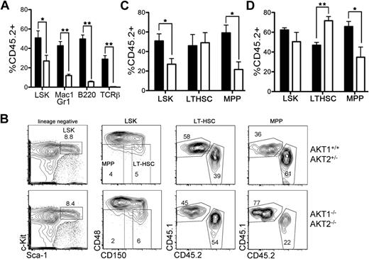 Figure 5. Generation of LT-HSCs and MPPs in a competitive environment. (A) The percentage of AKT1−/−AKT2−/− (CD45.2+Ly5B6+) cells in the BM LSK subset, and the splenic myeloid (Mac-1+Gr-1+), B (B220+), and T (TCRβ+) lineages 6 weeks after reconstitution. Graphs represent the mean ± SEM (n = 3). (B) The gating strategy used to generate the data in panels A, C, and D. Plots are representative of one experiment 6 weeks after reconstitution. (C-D) The percentage of AKT1−/−AKT2−/− (CD45.2+Ly5B6+) cells in the LSK, LT-HSC (CD150+CD48−LSK), or MPP (CD150–CD48−LSK) populations in the bone marrow of mice at either (C) 6 weeks or (D) 12 weeks after reconstitution. Graphs represent the mean ± SEM (n = 3 for panel C and n = 5 for panel D). In panels A through D, FL cells from AKT1−/−AKT2−/− or littermate control animals (CD45.2+Ly5B6+) were mixed with wild-type competitor FL cells (CD45.1+B6.Ly5SJL) in a 1:1 ratio and injected into lethally irradiated CD45.1+B6.Ly5SJL recipients. The LSK data depicted in panels A and C are the same.
