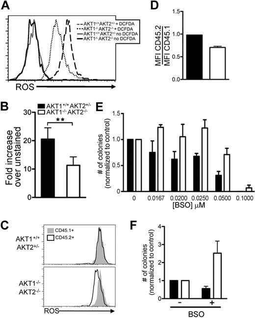 Figure 7. Intracellular ROS in AKT1−/−AKT2−/− LSK cells in vivo and their colony-forming capacity in vitro after pharmacologic increase of ROS. (A-B) ROS content of AKT1−/−AKT2−/− LSK cells. The histogram (A) represents one experiment, and the bar graph (B) represents the mean ± SEM (n = 5) of the MFI of the DCF-DA–treated cells normalized to the HBSS-only–treated cells (no DCF-DA) from each experiment. LSK cells were sorted from bone marrow chimeras, incubated with DCF-DA, and analyzed by flow cytometry. (C-D) ROS content in DN3 thymocytes. Thymocytes from 16-week primary competitive bone marrow chimeras were surface stained with CD4, CD8, CD25, and CD45.2. DN3 staged thymocytes were identified by CD4−CD8−CD25+ phenotype. The histogram (C) represents one experiment, and the bar graph (D) represents the mean ± SEM (n = 3) of the DCF-DA MFI of CD45.2+ cells divided by the DCF-DA MFI of CD45.1+ cells in the same tube. (E) Colony-forming capacity of LSK cells treated with BSO. The graphs represent the total number of colonies found in each culture as a percentage of those generated in the absence of BSO (no BSO = 1) and represent the mean ± SEM (n = 5). Equal numbers of freshly sorted LSK cells were plated in methylcellulose cultures with increasing concentrations of BSO for 10 days before analysis. The number of colonies per plate (mean ± SEM) that used AKT1+/+AKT2+/− cells was 0μM BSO 45 ± 3, 0.0167μM BSO 34 ± 3, 0.020μM BSO 26 ± 2, 0.025μM BSO 29 ± 1, 0.050μM BSO 15 ± 2, and 0.100μM BSO no growth and for AKT1−/−AKT2−/− cells was 0μM BSO 32 ± 2, 0.0167μM BSO 38 ± 1, 0.020μM BSO 32 ± 3, 0.025μM BSO 39 ± 3, 0.050μM BSO 23 ± 2, and 0.100μM BSO 3 ± 1. (F) Effect of BSO treatment on LTC-ICs. LSK cells were grown in LTC-IC cultures for 2 weeks in the presence of 0.025μM BSO. Then, equal numbers of cells were harvested from the LTC-IC cultures and plated in methylcellulose in the absence of BSO for 10 days. The graphs represent the total number of colonies found in each methylcellulose culture as a percentage of those generated in the absence of BSO (no BSO = 1) and represent the mean ± SEM (n = 3).