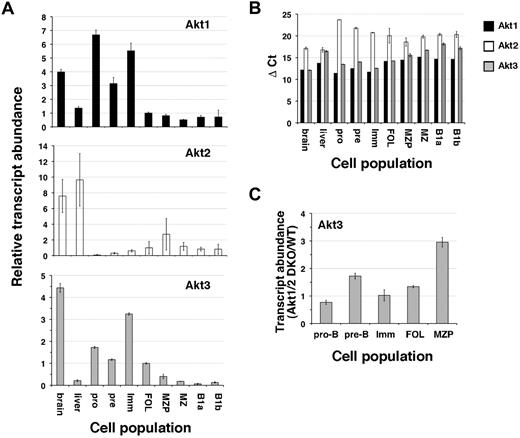 Figure 6. Expression of Akt isoforms in B-lineage cells. (A) Relative Akt isoform expression in sorted BM, splenic, and peritoneal B-cell populations measured by qRT-PCR. Data are expressed relative to wild-type follicular B cells. Brain and liver cDNA serve as positive controls for Akt3 and Akt2 mRNA, respectively. (B) Δ-Ct values for Akt1, Akt2, and Akt3 relative to endogenous control 18s, within each of the indicated B-cell populations as in panel A. (C) Akt3 transcript abundance in sorted B-cell populations from Akt1/2 DKO chimeras relative to the corresponding wild-type population. Error bars represent relative quantity maximum and minimum for each sample (A,C) or SD of Δ-Ct for each sample (B).