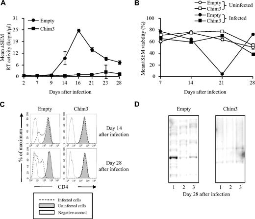 Figure 1. CEM A3.01 cells are highly susceptible to HIV-1 infection unless protected by the therapeutic gene Chim3. (A) Kinetics of HIV-1 infection. Empty-LV– and Chim3-LV–transduced cells were infected with the NL4-3 HIV-1 at an MOI of 0.1. Virus production was measured on the culture supernatants by RT activity assay at the indicated time points. Values represent means ± SEM of n = 3. (B) Cell viability. The empty-LV– and Chim3-LV–transduced infected cells of panel A and uninfected cells were analyzed using forward scatter (FSC) and side scatter (SSC) profiles by FACS at the indicated time points. Values represent the percentage of alive cells on the total events acquired expressed as means ± SEM of n = 3. (C) CD4 expression. The level of CD4 receptor expression was measured by FACS in empty-LV– and Chim3-LV–transduced cells, either uninfected or infected at 2 time points of the cell culture. (D) Chim3-LV cells do not show clonal phenotype after HIV-1 infection. Southern blot analysis of gDNA isolated from 3 independent wells of empty-LV– and Chim3-LV–transduced cells of panel A after 28 days of infection. The filter was hybridized with a 1-kb fragment ΔLNGFR probe.
