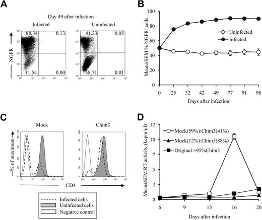 Figure 2. Chim3-LV confers survival advantage to transduced CEM A3.01 cells under HIV-1 selective pressure. (A) Chim3-transduced CEM A3.01 cells are enriched over mock-transduced cells after HIV-1 infection. Chim3-transduced cells were mixed at a 1:1 ratio with mock-transduced cells and either infected with NL4-3 HIV-1 at an MOI of 0.01 or left uninfected. FACS staining of ΔLNGFR+ cells was performed after 49 days of cell cultivation. The results are representative of a sestuplicate culture for infected and of a duplicate culture for uninfected cells. Numbers in the quadrants indicate the percent of ΔLNGFR+ cells. (B) Percentage over time of ΔLNGFR+ cells in the mock–Chim3-transduced cell mixture of panel A. Results are the means ± SEM of sestuplicate and duplicate cultures for infected and uninfected cells, respectively. (C) CD4 expression. The 12:88 mock-Chim3 cell mixture of panel A was separated by an anti-ΔLNGFR Ab, and CD4 levels in either Chim3 (88% ΔLNGFR+ cells) or mock cells (12% ΔLNGFR− cells) were analyzed by FACS. (D) Chim3-cells that survive to HIV-1 infection maintain their resistant phenotype after new viral challenge. The HIV-1–resistant mock-Chim3 (12:88) mixture of panel A was challenged with HIV-1 NL4-3 at an MOI of 0.1. The uninfected mock-Chim3 (59:41) cell mixture, along with the original starting population (mock and original of 95% or more Chim3-expressing cells) were used as control cells. Results are the means ± SEM of a duplicate (□), sestuplicate (▲), and single (■) culture, respectively.