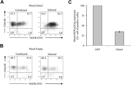Figure 4. Chim3-LV confers survival advantage to transduced CD4+ T lymphocytes under HIV-1 selective pressure. (A) Empty-LV– and (B) Chim3-LV–transduced CD4+ T lymphocytes were selected to 95% or greater ΔLNGFR+ by anti-ΔLNGFR Ab and then mixed at a 1:1 ratio with mock-transduced cells. Mixtures were either infected with the AD8 HIV-1 molecular clone at an MOI of 1 or left uninfected. FACS staining of ΔLNGFR+ cells of infected and uninfected cultures was performed after 40 days of cell cultivation. The results are representative of a triplicate culture for infected cells and of a duplicate culture for uninfected cells. Numbers in the quadrants indicate the percent of single and double positive cells. (C) GFP-LV– and Chim3-LV–transduced CD4+ T lymphocytes were infected with VSV-G–pseudotyped Vif-proficient NL4-3–based HIV-1 at an MOI of 3. At 72 hours after viral challenge, intracellular p24Gag level was evaluated by FACS using an anti-p24Gag Ab on fixed and permeabilized cells. Values express means ± SEM percentage of p24Gag expression (n = 16).