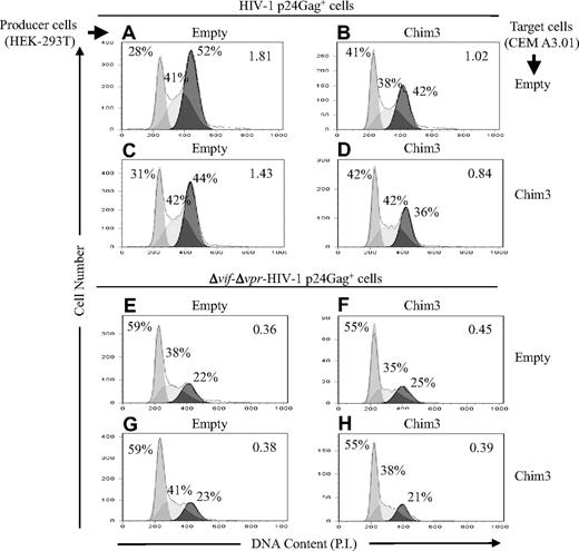 Figure 6. Chim3 prevents HIV-1 Vif-induced cell-cycle arrest in G2. CEM A3.01 cells transduced with empty-LV or Chim3-LV (target cells) were synchronized with aphidicolin and then infected in a single-round infection with VSV-G–pseudotyped Vif-proficient (A-D) and Vif-deficient (Δvif; E-H) NL4-3–based HIV-1 molecular clones produced from either HEK-293T cells expressing empty-LV or Chim3-LV (producer cells). After intracellular p24Gag staining, PI content was evaluated only in electronically gated p24Gag+ cells. The G2/G1 ratio values are indicated in the top right corner of each cell-cycle profile panel.