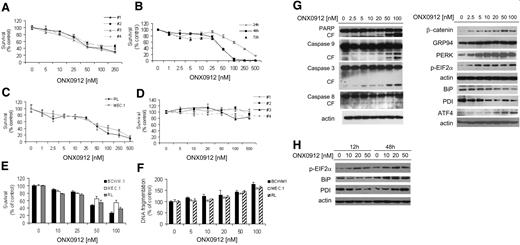 Figure 2. ONX0912 exerts cytotoxicity on primary WM cells as well as on IgM-secreting low-grade lymphoma cells. Cytotoxicity was assessed by MTT assay in primary WM bone marrow–derived CD19+ cells (A; ONX0912 5-250nM; 48 hours); BCWM.1 cells (B; ONX0912 1-500nM; 24-48-72 hours); IgM-secreting low-grade lymphoma cells RL, MEC.1 (C; ONX0912 1-500nM; 48 hours); and freshly isolated primary peripheral blood–derived CD19+ cells from 4 healthy donors (D; ONX0912 5-500nM; 48 hours). (E) BCWM.1, RL, and MEC.1 were cultured with ONX0912 (10-100nM) for 2 hours, followed by a 48-hour washout period. Cytotoxicity was assessed by MTT assay at 48 hours. (F) BCWM.1, RL, and MEC.1 were cultured with ONX0912 (10-100nM) for 48 hours and percentage of cells undergoing apoptosis was assessed by DNA fragmentation. (G) BCWM.1 cells were cultured with ONX0912 (2.5-100nM) for 12 hours. Whole-cell lysates were subjected to Western blotting using anti-PARP, –caspase-9, –caspase-3, –caspase-8, –β-catenin, -GRP94, -PERK, –phosphorylated EIF2α (p-EIF2α), -BiP, -PDI, -ATF, and –β-actin antibodies. (H) BCWM.1 cells were cultured with ONX0912 (10-50nM) for 12 and 48 hours. Whole-cell lysates were subjected to Western blotting using anti–phosphorylated EIF2α (p-EIF2α), -BiP, -PDI, and –β-actin antibodies. In all panels, error bars represent SD.