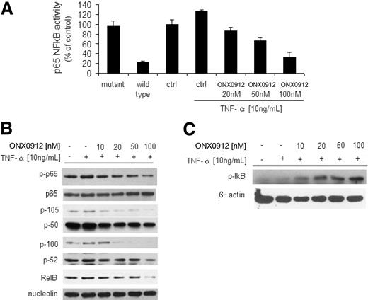 Figure 5. ONX0912 leads to inhibition of the canonical and noncanonical NF-κB pathway. (A) BCWM.1 cells were cultured with ONX0912 (0-100nM) for 4 hours, and then TNF-α (10 ng/mL) was added for the last 20 minutes. NF-κBp65 transcription factor binding to its consensus sequence on the plate-bound oligonucleotide was studied from nuclear extracts. Wild-type and mutant are wild-type and mutated consensus competitor oligonucleotides, respectively. All results represent means ± SD of triplicate experiments. (B) BCWM.1 cells were cultured with ONX0912 (0-100nM) for 4 hours, and TNF-α (10 ng/mL) was added for the last 20 minutes. Nuclear extracts were subjected to Western blotting using anti–p-NF-κBp65, -p65, -p105, -p50, -p100, -p52, -RelB, and -nucleolin antibodies. (C) BCWM.1 cells were cultured with ONX0912 (0-100nM) for 4 hours, and TNF-α (100 ng/mL) was added for the last 20 minutes. Cytoplasmic extracts were subjected to Western blotting using anti–p-IκB and -actin antibodies.