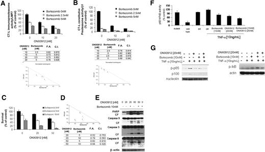 Figure 6. Mechanisms whereby ONX0912/bortezomib combination enhances WM cell cytotoxicity. (A-B) BCWM.1 cells were treated with ONX0912 (10nM, 20nM) in presence or absence of bortezomib (2.5nM, 5nM) for 2 hours, and effects on chymotrypsin-like activity (CT-L) of the immunoproteasome (LMP7; A) and constitutive proteasome (β5; B) were evaluated by ELISA on protein lysates. Proteasome activity is expressed as fold of control (untreated cells). CalcuSyn software was used to determine presence or absence of synergism between ONX0912 and bortezomib in targeting the CT-L enzymatic activities. Combination indices (CIs) and fractions affected (FAs) of the combination of ONX0912 and bortezomib and isobolograms are shown below each panel. All experiments were repeated in triplicate. (C) BCWM.1 cells were cultured with ONX0912 (20nM, 50nM) for 48 hours, in the presence or absence of bortezomib (5nM, 10nM). Cytotoxicity was assessed by MTT assay. (D) Representative isobologram of ONX0912 and bortezomib, with the CalcuSyn software demonstrating synergy for the combination. Combination indices (CIs) and fractions affected (FAs) of the combinations of ONX0912 and bortezomib are shown. All experiments were repeated in triplicate. (E) BCWM.1 cells were cultured with ONX0912 (20nM, 50nM) in the presence or absence of bortezomib (10nM) for 12 hours. Whole-cell lysates were subjected to Western blotting using anti-PARP, –caspase-9, –caspase-3, –caspase-8, and –β-actin antibodies. (F) BCWM.1 cells were cultured with either ONX0912 (20nM), bortezomib (10nM), or the combination for 4 hours, and then TNF-α (10 ng/mL) was added for the last 20 minutes. NF-κBp65 transcription factor binding to its consensus sequence on the plate-bound oligonucleotide was studied from nuclear extracts. Wild-type and mutant are wild-type and mutated consensus competitor oligonucleotides, respectively. All results represent means ± SD of triplicate experiments. (G) BCWM.1 cells were cultured with either ONX0912 (20nM), bortezomib (10nM), or the combination for 4 hours, and TNF-α (10 ng/mL) was added for the last 20 minutes. Cytoplasmic and nuclear extracts were subjected to Western blotting using anti–p-NF-κBp65, –NF-κBp100, -nucleolin, –p-IκB, and –α-tubulin antibodies.