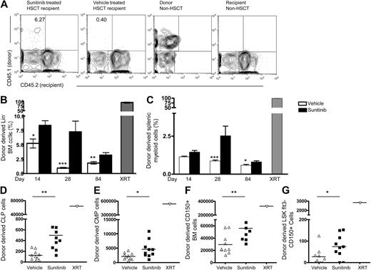 Figure 2. Sunitinib enhances marrow and peripheral myeloid engraftment after BMT into Rag1−/− recipients. CD45.2+Rag1−/− recipients received daily doses of sunitinib or vehicle on days −3 through 0, then 5 × 106 TCD BM cells from WT CD45.1+C57Bl/6 mice on days 0 and 1. (A) Representative flow cytometry plots of gated Lin− marrow on day 28 show increased donor-derived progenitors in sunitinib recipients. (B-C) Mean donor-derived marrow Lin− cell frequencies and splenic myeloid cells from groups of Rag1−/− recipients treated as in panel A and studied at serial time points. (B) Sunitinib-treated recipients showed significantly increased proportions of donor-derived Lin− marrow progenitors compared with vehicle controls at all time points. (C) Significantly increased donor-derived CD3−B220−CD11b+ myeloid splenocytes on day 28 and 84 and significantly increased donor-derived CLPs (D), CMPs (E), CD150+ BM cells (F), and LSKFlt3−CD150+ BM cells (G) on day 28. *P < .05. **P < .005. ***P < .001. Radiation therapy composed Rag1−/− recipients conditioned with 1000 cGY before BMT as controls. (B-C) Day 14, n = 4 or 5 mice/group; day 28, n = 8 to 13 mice/group; day 84, n = 4 to 15 mice/group. Data represent pooled results from 2 independent experiments. Experiments were repeated 2 to 5 times with similar results. (D-F) n = 10 mice/group; only day 28 data are available for the cell subsets.