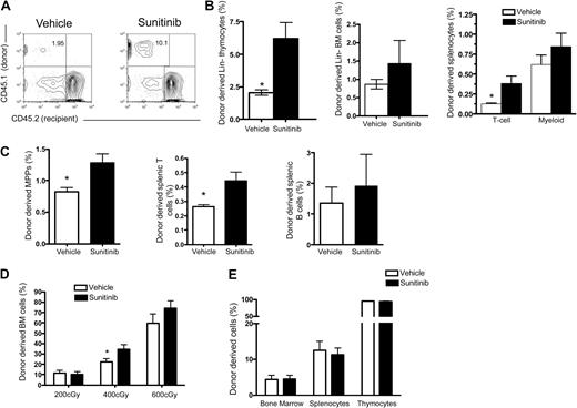 Figure 5. Sunitinib enhances engraftment in immunocompetent hosts but does not enhance engraftment in KITW/Wv mice. (A-B) C57Bl/6 CD45.2 recipients received 4 daily doses of sunitinib or vehicle followed by transfer of 5 × 106 congenic CD45.1 TCD BM cells on days 0 and 1. Organs were harvested and analyzed by FACS on day 28. (A) Representative flow cytometry plots of Lin−-gated thymocytes from vehicle- (left) versus sunitinib- (right) treated recipients. (B) Sunitinib recipients showed significantly increased Lin− thymic and splenic T-cell engraftment compared with vehicle controls. (C) C57BL/6 × C3H.SW (H-2b) (F1) recipients received 4 daily doses of sunitinib or vehicle followed by transfer of 5 × 106 congenic CD45.1 TCD BM cells on days 0 and 1. Organs were harvested and analyzed by FACS on day 28. Sunitinib significantly increased BM multipotent progenitor (P = .03) and peripheral T-cell (P = .03) engraftment; n = 4 mice per group. (D) C57Bl/6 CD45.2 recipients received 4 daily doses of sunitinib or vehicle followed by total body irradiation with the doses indicated on day 0 and transfer of 5 × 106 congenic CD45.1 TCD BM cells on days 0 and 1. On day 28, sunitinib-treated mice show increased BM engraftment compared with vehicle controls. This difference was significant at 400 cGy; n = 5 mice/group. (E) KITW/Wv recipients received 4 daily doses of sunitinib or vehicle followed by transfer of 5 × 106 CD45.1 TCD BM cells on days 0 and 1. Sunitinib did not significantly increase the frequency of BM cells (P = .93), splenocytes (P = .70), or thymocytes (P = .69) 28 days after BMT. Data represent pooled results from 2 independent experiments; n = 13 or 14 mice/group. *P < .05. ***P < .001.