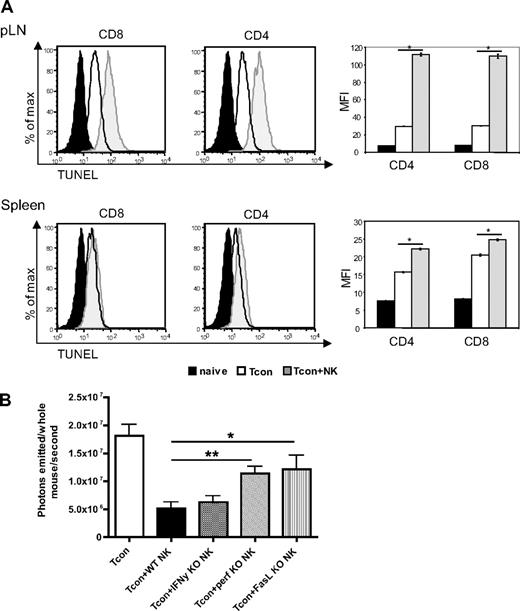 Figure 5. Increased donor T-cell apoptosis in lymphoid organs and perforin- and FasL-mediated reduction of donor Tcons in the presence of donor NK cells. (A) FACS-based TUNEL staining on reisolated donor Tcons on day 4 after transplantation. Histograms indicate CD8+ and CD4+ reisolated from pLNs and spleens from Tcon + NK animals (gray filled histograms) stained significantly higher for TUNEL than the Tcon group (white filled histograms) group. TUNEL staining on freshly isolated T cells is shown as a control (black filled histograms). Quantification of the mean fluorescence intensity (right panels) shows significantly increased TUNEL stain in the Tcon + NK group (*P < .001). Error bars indicate SE. Data are pooled from 3 mice and are representative of 3 independent experiments. (B) Average photons emitted from animals receiving luc+ Tcon together with NK cells from wild-type donors or donors deficient for either IFNγ (IFN-γ KO), perforin (perf KO), or FasL (FasL KO) on day 4 after T-cell transplantation. Bioluminescent signal was significantly greater in animals receiving perforin−/− or FasL−/− NK cells compared with wild-type NK cells, implicating these molecules in the mechanism of NK cell–mediated reduction of donor Tcons (*P < .05, **P < .01). One-way analysis of variance was also significant (P = .001) and Dunnett multiple comparison test showed that only the Tcon + WT NK and Tcon + perf KO NK groups were significantly different from control. Data are an average of 5 mice per group, and are representative of 2 experiments.