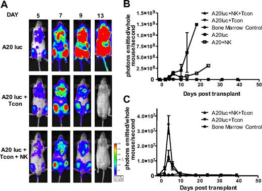 Figure 7. NK cells maintain GVT response to A20. (A) Ventral BLI images of animals that received a transplant of TCD-BM plus A20-luc+/yfp, A20-luc+/yfp plus Tcons, or A20-luc+/yfp plus Tcons and NK cells. Both Tcon and Tcon + NK groups reject the tumor within 2 weeks after transplantation. (B) Quantification of BLI images from panel A. Compared with A20 controls, Tcon and Tcon + NK groups have significantly lower BLI signal. NK cells alone provide some antitumor capability but fail to clear the tumor. (C) BLI quantification shown without the A20 control. TCD-BM–only recipients are shown as controls. Tcons + NK have significantly lower BLI at day 4 after T-cell transplantation (P < .05). Data points are average BLI from 4 to 5 mice, and are representative of 2 experiments. Error bars represent SE.