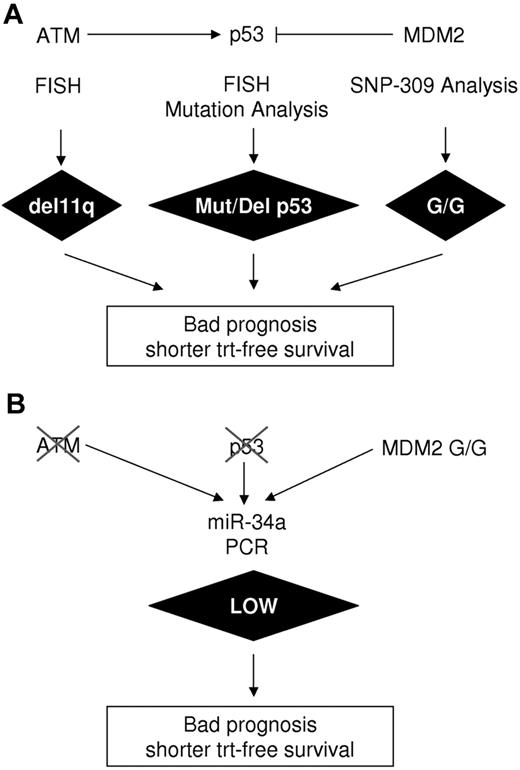 Figure 5. Experimental determination of aberrations along the p53 axis. (A) Classical methods including FISH, mutation analysis, and SNP309 analysis. (B) miR-34a as single parameter and readout for p53 activity.