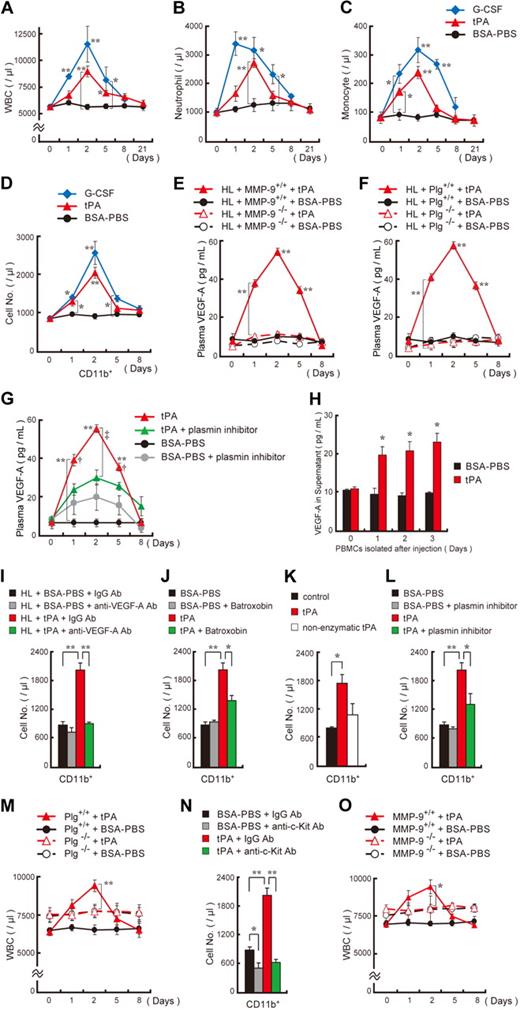 Figure 1. tPA mobilizes hematopoietic myelomonocytic cells into the circulation, a process dependent on plasmin and MMP-9–mediated growth factor release. (A-D) C57BL/6 mice were injected intraperitoneally with recombinant tPA (n = 8 per group) or G-CSF (n = 3) from day 0 until day 2. The total number of WBCs (A), neutrophils (B), and monocytes (C) were counted. (D) FACS analysis of CD45+CD11b+ cells in peripheral blood of tPA-treated, G-CSF–treated, or BSA-PBS–treated mice (n = 3 per group). (E-G) Plasma VEGF-A levels were determined by ELISA in MMP-9−/− (E), Plg−/− (F) and wild-type control mice (n = 6) as well as in mice treated with tranexamic acid, a drug that impairs plasmin activation (n = 3), after tPA administration. Double asterisks indicate a significant difference between tPA-treated MMP-9 or Plg wild-type mice and their matching knockout controls. (H) PBMCs were isolated at the indicated time points from tPA-treated and untreated C57BL/6 mice. Cells were cultured under serum-free conditions for 24 hours. Supernatants were analyzed for VEGF-A by ELISA (n = 6). (I) tPA-treated and untreated C57BL/6 mice were coinjected with antibodies against murine VEGF-A or (J) cotreated with batroxobin intraperitoneally (fibrinogen-reducing agent). (K) Mice were treated with tPA, nonenzymatically active tPA, or vehicle control. (L) tPA- or carrier-injected C57BL/6 mice were coinjected with the plasmin inhibitor tranexamic acid. (I-L) The frequency of circulating CD45+CD11b+ cells was determined on day 2 (n = 3 per group). (M) Plg+/+ and Plg−/− mice received tPA intraperitoneally or BSA-PBS from day 0 to day 2. WBC counts were assessed (n = 5 per group; **P < .001; comparing Plg−/− to Plg+/+ group). (N) C57BL/6 mice were injected with tPA and anti–c-Kit or control antibodies. The frequency of circulating CD45+CD11b+ cells was measured on day 2 (n = 3 per group). (O) WBC counts were determined in MMP-9+/+ and MMP-9−/− mice after tPA administration (n = 4). The asterisk indicates a significant difference between tPA-treated MMP-9−/− and MMP-9+/+ mice. (I-L,N) Asterisks denote a significant difference between the indicated groups. (A-D) Asterisks indicate a significant difference between the BSA-PBS and tPA or G-CSF groups. Single asterisk, P < .05; double asterisk, P < .001. Values represent the mean ± SEM.