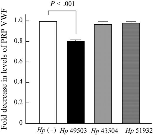 Figure 6. VWF depletion occurred in the pro-aggregatory strain of H pylori. VWF depletion assays were carried out in PRP with or without H pylori infection. VWF depletion occurred only in Hp 49503–induced platelet aggregation mixtures.