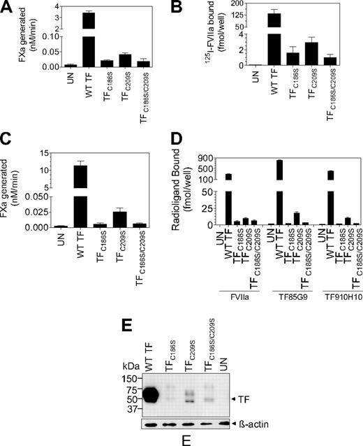 Figure 2. Analysis of TF procoagulant activity and TF antigen expression in CHO cells transfected with wild-type TF or TF mutants. (A) Monolayers of CHO cells transfected transiently with equal amounts of wild-type TF, TFC186S, TFC209S, or TFC186S/C209S plasmid DNA were incubated with FVIIa (10nM) and FX (175nM), and FXa generation was measured in a chromogenic assay (n = 3; mean ± SEM). (B) CHO cells transfected transiently with equal amounts of wild-type TF, TFC186S, TFC209S, or TFC186S/C209S plasmid DNA were incubated with 125I-FVIIa (10nM) for 2 hours at 4°C in the presence or absence of anti-TF IgG (100 μg/mL), and the amount of 125I-FVIIa associated with cell-surface TF was determined (n = 3; mean ± SEM). (C) Same as in panel A, except CHO cells were stably transfected with wild-type TF, TFC186S, TFC209S, or TFC186S/C209S (n = 6; mean ± SEM). (D) CHO cells stably expressing wild-type TF, TFC186S, TFC209S, or TFC186S/C209S were incubated with saturating concentrations of 125I-FVIIa (± anti-TF IgG) or 125I-TF mAb (10H10 or 5G9; 100nM) for 2 hours at 4°C, and the amount of radioactivity associated with the cell surface was determined. 125I-FVIIa binding shown in the figure was TF specific (n = 3; mean ± SEM). (E) Immunoblot analysis of wild-type TF, TFC186S, TFC209S, or TFC186S/C209S. Cell lysates of cells stably expressing wild-type TF, TFC186S, TFC209S, or TFC186S/C209S were subjected to sodium dodecyl sulfate–polyacrylamide gel electrophoresis under reducing conditions followed by immunoblot analysis with polyclonal anti-TF antibodies.
