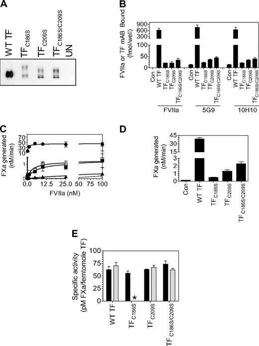 Figure 5. Correlation between TF antigen and TF activity levels at the cell surface in endothelial cells expressing wild-type TF or TF lacking Cys186-Cys209 disulfide bond. HUVECs cultured in 6- or 24-well plates were transduced with adenovirus encoding wild-type TF, TFC186S, TFC209S, TFC186S/C209S, or a control virus (β-Gal; 25 MOI/cell) and cultured for 48 hours. (A) To measure TF antigen at the cell surface, the monolayers were labeled with cell-impermeant NHS-SS-biotin (0.5 mg/mL) for 30 minutes at 4°C. Total cell extracts were then subjected to immunoprecipitation with neutravidin-agarose and immunoblotted with anti-TF polyclonal antibodies. (B) Monolayers were incubated with 125I-labeled TF mAb or FVIIa (100nM) for 2 hours at 4°C, and the amount of TF mAb and FVIIa associated with the cell surface was determined. To determine TF-specific FVIIa binding, parallel experiments were conducted in which cells were preincubated with polyclonal anti-TF IgG (100 μg/mL) for 30 minutes before the addition of 125I-FVIIa, and the radioactivity associated with cells in the presence of anti-TF was subtracted from the values obtained in the absence of anti-TF (total binding). (C) Higher concentrations of FVIIa were required to saturate TF Cys186 and Cys209 mutants compared with wild-type TF. Monolayers of HUVECs expressing wild-type TF or TF mutant were incubated with various concentrations of FVIIa (0.05-100nM) for 5 minutes at room temperature before substrate FX (1μM) was added to the cells. The amount of FXa generated was measured in a chromogenic assay. The symbols are as follows: HUVECs expressing wild-type TF, ●; TFC186S, ▲; TFC209S, ■; TFC186S/C209S, □; control virus (β-gal), ○ (n = 4, mean ± SEM). (D) HUVEC monolayers were incubated with FVIIa (100nM) for 5 minutes at room temperature, and then substrate FX (1μM) was added to the cells. The amount of FXa generated was measured in a chromogenic assay (n = 3-4; mean ± SEM). (E) TF-specific activity at the surface was determined as the amount of FXa formed (pM)/fmol of TF, as measured by TF mAb binding studies (■) or fmol FVIIa bound (▩), as determined by TF-specific binding of 125I-FVIIa. The concentrations of FVIIa and FX used were 100nM and 1μM, respectively. *Because of low expression of TF mutant, TFC186S, it was difficult to measure FVIIa binding to these cells accurately; therefore, TF-specific activity in relation to FVIIa bound to cells was not calculated.