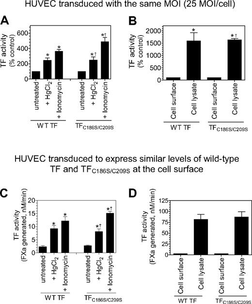 Figure 7. Cys186-Cys209 disulfide bond formation is not essential for de-encryption of TF. HUVECs were transduced with the same number of adenovirus encoding wild-type TF or TFC186S/C209S (25 MOI/cell; A-B) or different MOI/cell (wild-type TF, 2 MOI/cell; TFC186S/C209S, 50 MOI/cell) to express similar levels of TF (C-D). After culturing the cells for 48 hours, the monolayers were treated with HgCl2 (100μM) for 3 minutes or ionomycin (10μM) for 5 minutes at 37°C, the cells were washed with buffer B, and the cell-surface TF activity was measured in FX activation assay (A,C). (B,D) Cell lysates were made by scraping the cells in buffer B followed by repeated (3) freeze-thaw cycles. The lysates were diluted 1:10 in buffer B before they were used in the assay. TF activity in intact monolayers and cell lysates was determined by adding FVIIa (100nM) and FX (1μM) and measuring the rate of FX activation in a chromogenic assay. The rate of FX activation measured with intact and untreated cells was taken as 100% (A-B). *Significant increase in TF activity in treated cells versus the untreated cells (n = 3-6; mean ± SD; P < .05, t test). †The fold increase did not significantly differ from the fold increase observed with wild-type TF (n = 3-6; mean ± SD; P > .1, t test).