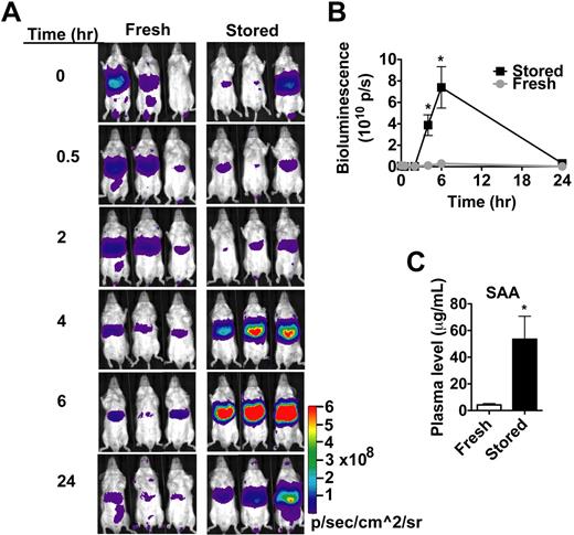 Figure 4. Transfusion of stored RBCs induces an acute phase response.(A) SAA1-luciferase reporter mice were transfused with 200 μL of either fresh RBCs (< 24-hour storage) or stored RBCs (2-week storage) and luciferase activity measured by noninvasive bioluminescence imaging at multiple times up to 24 hours after transfusion (n = 3 per group). Results are representative of 2 experiments. (B) Bioluminescence was quantified over the hepatosplenic region of SAA1-luciferase reporter mice transfused with fresh RBCs (n = 6; ) or stored RBCs (n = 6; ■); *P < .01. (C) Circulating SAA1 protein levels in SAA1-luciferase reporter mice 24 hours after transfusion with fresh RBCs or stored RBCs (n = 6 per group); *P < .01. Results are combined from 2 separate experiments.