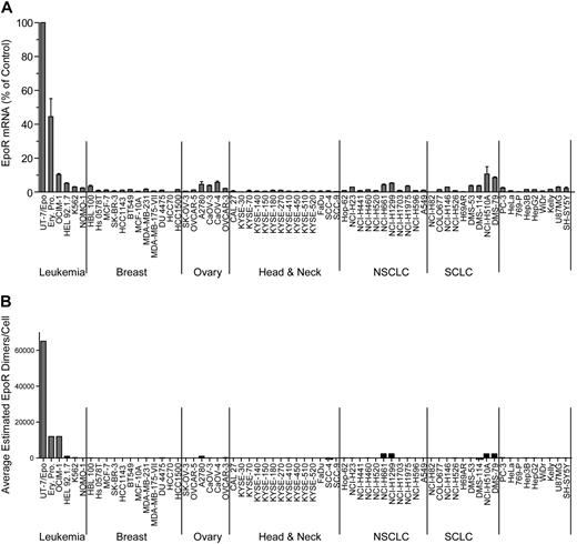 Figure 1. EpoR mRNA and protein levels for representative tumor cell lines. (A) EPOR mRNA levels were determined by bDNA assay from cell lysates (n = 3 from each culture). Expression of EPOR was normalized to the level of 18S rRNA and is expressed as a percentage of control (POC; 100% = EPOR mRNA levels in UT-7/Epo cells). (B) EpoR protein in lysates from the indicated cell lines: 2-fold serial dilutions of purified EpoR extracellular domain protein (EpoR ECD amino acid 1-225) and cell lysates were subjected to SDS-PAGE and Western blotting with detection of EpoR by mAb A82. Direct comparison of band intensities of the 59-kDa EpoR protein with those of the purified EpoR ECD was used to estimate EpoR dimers/cell. NSCLC indicates non–small cell lung carcinoma; SCLC, small cell lung carcinoma; and Ery. Pro., erythroid progenitor cells.