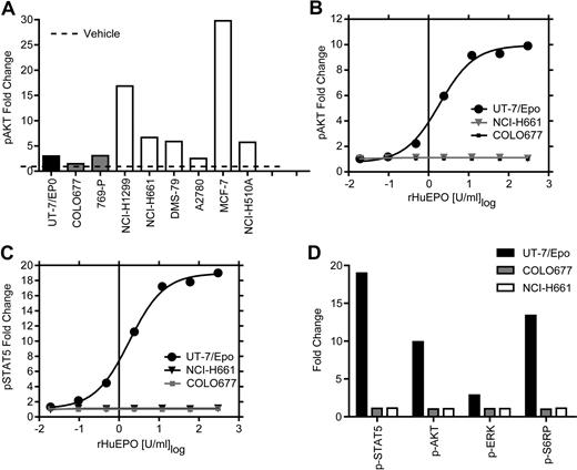 Figure 5. rHuEpo treatment of tumor cell lines cells did not lead to increased phosphorylation of signaling proteins. Tumor cell lines were starved of serum and rHuEpo overnight. Cells were stimulated for 5 minutes with vehicle (rHuEpo formulation buffer), a rHuEpo titration from 0.02 to 300 U/mL, or an EGF/HGF/IGF-1 growth factor cocktail (EGF 100 ng/mL, HGF 500 ng/mL, and IGF-1 500 ng/mL). UT-7/Epo cells were the positive control and COLO677 the negative control for rHuEpo treatment. Fixed and permeabilized cells were stained with fluorochrome-conjugated antibodies to the phosphorylated forms of the proteins, run on a FACS instrument, and analyzed as fold-change compared with vehicle treatment alone. Experiments were repeated 3 times with similar results. (A) Growth factor cocktail (EGF/HGF/IGF-1) 5-minute stimulation of 6 tumor cell lines analyzed for p-AKT. Note the stimulation of p-AKT in response to the growth factor cocktail in the tumor cell lines. (B) UT-7/Epo, NCI-H661, and COLO677 treated with increasing concentrations of rHuEpo and analyzed for p-AKT. (C) UT-7/Epo, NCI-H661, and COLO677 treated with increasing concentrations of rHuEpo and analyzed for p-STAT5. Note the lack of response in NCI-H661 cells with p-AKT and p-STAT5. (D) Effect of 5-minute stimulation of NCI-H661with 300 U/mL rHuEpo on phosphorylation of 4 signal transduction proteins. Similar results were seen after 30 minutes (data not shown).