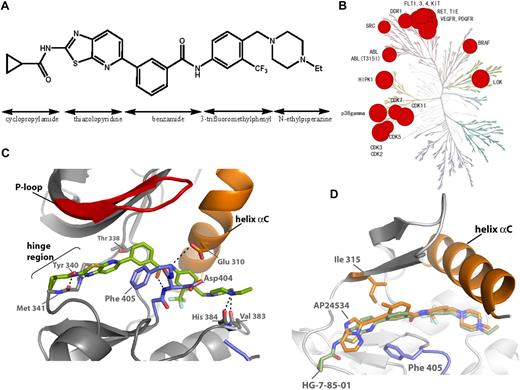 Figure 1. Discovery of HG-7-85-01. (A) Chemical structure of HG-7-85-01 with substructure names indicated. (B) Kinase selectivity of HG-7-85-01 based on screening 400 kinases. Kinases where significant binding affinity was detected at 10μM were retested in dose-response format to determine a Kd. The size of the red circle is proportional to Kd. Numerical dissociation constants are listed in the supplemental Table. (C) X-ray crystal structure of the c-Src wt/HG-7-85-01 complex. HG-7-85-01 is shown in green carbon atoms, P-loop of the protein in red, helix α C in orange, and activation loop in blue. Dotted lines indicate H-bonds. (D) Accommodation of gatekeeper Thr315Ile mutation by HG-7-85-01 and AP24534. The kinase domains of the Src wt/HG-7-85-01 complex and the Abl Thr315Ile/AP24534 complex were aligned in PyMOL. The protein structures are highly conserved around the gatekeeper residues, and for clarity only the structure of Abl Thr 315, AP24534 (orange carbon atoms), and HG-7-85-01 (green carbon atoms) is displayed.