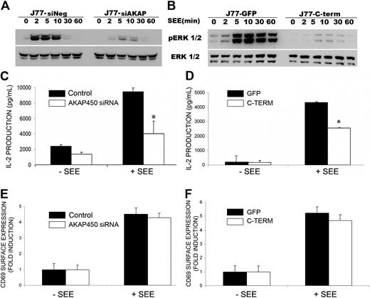 Figure 7. IL-2 production is impaired by C-term AKAP450-GFP overexpression and AKAP450 depletion. (A-B) J77/SEE-pulsed Raji cell conjugates of cells expressing (A) control siRNA (siNeg) or AKAP450 siRNA (siAKAP) and (B) GFP (J77-GFP) or C-term AKAP450-GFP (J77-C-term) were incubated for the times indicated, and a representative Western blot of phospho-Erk1/2 (T202/Y204) is shown. Total Erk1/2 expression was detected as loading control. One of 3 representative experiments is shown. (C-D) IL-2 release was detected by enzyme-linked immunosorbent assay in the culture supernatants of conjugates formed between SEE-pulsed Raji cells and J77 cells transfected with control or AKAP450 siRNA (C) and overexpressing GFPs or C-term AKAP450 GFPs (D). Data from control incubations with unloaded APCs (−SEE). (E-F) Relative surface expression of CD69 in conjugates formed as in panels C and D, detected by flow cytometry. Data are the arithmetic mean ± SD of 3 independent experiments performed in triplicate. *P < .05 (Student t test).