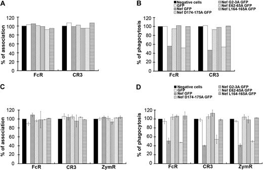 Figure 4. Motifs of Nef involved in phagocytosis inhibition. (A-B) Primary human macrophages transiently expressing GFP or Nef-GFP or the indicated Nef mutants: Nef D174-175A GFP, Nef G2A GFP, Nef E62-65A GFP, and Nef L164-165A GFP were allowed to phagocytose IgG-RBCs or C3bi-RBCs for 60 minutes at 37°C. The samples were processed as in Figure 1. The efficiencies of association (A) and phagocytosis (B) were calculated for 50 GFP-positive and 50 GFP-negative cells (control). Results are expressed as a percentage of control GFP-negative cells. One experiment is shown. (C-D) RAW264.7 macrophages transiently expressing GFP or Nef-GFP or the indicated mutants were allowed to phagocytose IgG-RBCs, C3bi-RBCs, or Cy3-zymosans for 60 minutes at 37°C. The samples were processed as in Figure 1. The efficiencies of association (C) and phagocytosis (D) were calculated for 50 GFP-positive and 50 GFP-negative cells (control). Results are expressed as a percentage of control cells. The means ± SEM of at least 3 independent experiments are plotted.