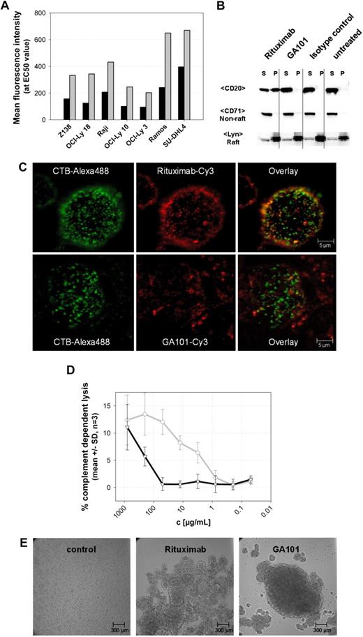 Figure 2. GA101 exhibits characteristics typical of a type II anti-CD20 antibody. (A) Fluorescence intensity at the EC50 value (half-maximal binding) of GA101 compared with rituximab. Titration of a panel of NHL cell lines with Cy-5–labeled GA101 (■) shows that only half the amount of antibody is bound to CD20 on the cells, compared with Cy-5 labeled rituximab (▩) at the EC50 concentration. (B) GA101 does not mobilize CD20 into lipid rafts. On binding of GA101 to CD20 in Ramos cells, CD20 is mainly found in the Triton X-100–soluble fraction (S) and not in the Triton X-100–insoluble pellet (P) representing lipid rafts (top row). In contrast, binding of rituximab resulted in the distribution of CD20 into the Triton X-100–insoluble pellet fraction (S; top row). The distribution of Lyn as a typical lipid raft marker and CD71 as a nonlipid raft marker is not affected (bottom 2 rows). (C) Confocal microscopy: Ramos cells were stained for 30 minutes at 37°C with Cy-3–labeled rituximab or GA101 (red fluorescence, middle panel) and costained with the Alexa 488-labeled lipid raft marker cholera toxin subunit B (CTB-Alexa 488, green fluorescence, left panel), which binds to the membrane ganglioside GMI in lipid rafts. The overlay (right panel) confirms that rituximab binding to CD20 results in accumulation of CD20 clusters in lipid rafts as shown by colocalization with CTB-Alexa 488 (yellow fluorescence), whereas CD20 molecules do not redistribute to lipid rafts on binding of GA101 and do not colocalize with CTB-Alexa 488. Pictures were captured with a Leica TCS SP2 confocal microscope with an HCX PL APO CS 63.0×/1.32 OIL UV objective (numeric aperture 1.32) in glycerol and aquired with Leica Confocal Software Version 2.61. Image manipulation was performed with Metamorph Version 7.0r3 and Jasc Paint Shop Pro. (D) CDC assays (LDH release) with Z138 mantle cell lymphoma cells. In the presence of physiologic concentrations of human unspecific IgG (10 mg/mL RedImmune), the type II anti-CD20 antibody GA101 (black) mediates greatly reduced CDC induction compared with rituximab (gray; n = 3). (E) GA101 induces rapid and pronounced homotypic aggregation of SU-DHL4 cells, whereas rituximab induces only a weak aggregation. Pictures were taken 24 hours after the addition of antibody. Pictures were captured with a Zeiss Axiovert 135 microscope with a Zeiss Fluar 5×/0.25 objective (numeric aperture 0.25) in RPMI 1640, 10% FCS, 2mM L-Glutamin on non fixed Ramos cells and a Cool SNAP K4 camera (Visitron Systems GmbH). Image acquisition and manipulation were performed with Metamorph Version 7.0r3 and Jasc Paint Shop Pro.