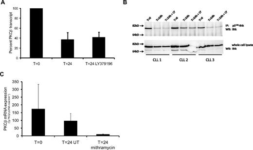 Figure 1. PKCβII gene transcription and protein kinase activity in CLL cells decrease after 24-hour culture. (A) Quantitative RT-PCR analysis of PKCβ mRNA levels in CLL cells showing the effect of in vitro culture in the presence and absence of 100nM LY379196 on PKCβ expression. A 24-hour incubation of CLL cells resulted in a significant drop in PKCβ mRNA levels (P = .002, n = 9). Results are reported as a percentage of PKCβ mRNA levels in CLL cells at T = 0. (B) Western blot analysis of Btk in anti–pS180-Btk immunoprecipitates from CLL cells (top panel), and in whole-cell lysates (bottom panel). Where CLL cells were incubated with LY379196, a concentration of 100nM was used. (C) Quantitative RT-PCR analysis of PKCβ mRNA levels in CLL cells exposed to 200nM mithramycin for 24 hours. Treatment of CLL cells with mithramycin resulted in a significant reduction in PKCβ mRNA levels compared with untreated (UT) cells (P = .013, n = 5). PKCβ mRNA amounts are reported in femtograms (fg) of PKCβ plasmid DNA equivalents.