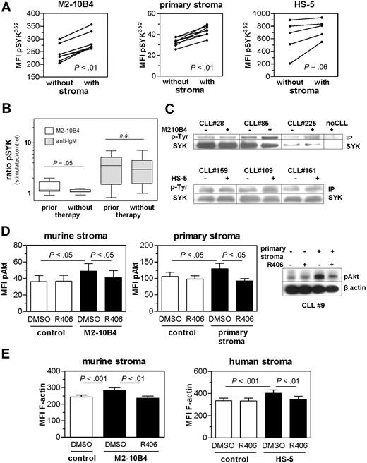 Figure 1. Stromal contact induced SYK phosphorylation and SYK-dependent Akt phosphorylation and F-actin expression. (A) Coculture of CLL samples with the stromal cell line M2-10B4 (n = 6; P < .01), with primary bone marrow–derived stromal cells (n = 8; P < .01) or with the human stromal cell line HS-5 (n = 5; P = .06) resulted in an increase of pY352 SYK, determined by the mean fluorescent intensity (MFI). (B) Parallel stimulation of 9 CLL samples from pretreated patients and 10 samples from patients who have not been treated revealed differential amounts of SYK phosphorylation induced by stroma but not IgM stimulation in these subgroups with higher induction in the pretreated subset. n.s. indicates not significant. (C) Immunoprecipitation of SYK with subsequent immunoblotting for pY revealed SYK phosphorylation induced by 15 minutes of murine (top) or human (bottom) stromal cell contact shown for 3 representative CLL samples. For sample 225, only 5 μg protein lysate was used for the IP. (D) Bar diagram represents mean values ± SEM of MFI for phospho-Akt-stained primary CLL samples (n = 8) with and without M2-10B4 (left panel) or primary (right panel) stromal contact, in the presence and absence of SYK inhibitor R406. Displayed is a representative immunoblot of pAkt after 15 minutes of stromal cell coculture in the presence and absence of R406. (E) Murine and human stromal coculture induced F-actin formation in control-treated cells (P < .01); this was markedly reduced in R406 pretreated cells (P < .01) as determined by phalloidin-Alexa488 staining and flow cytometric analysis (n = 8).