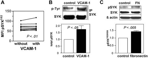 Figure 3. Integrin stimulation mediates activation of SYK in CLL cells. (A) Stimulation of CLL samples (n = 10) for 15 seconds with human recombinant VCAM-1 increased phosphorylation of SYK at Y352 determined by the MFI (P < .01). (B) Immunoprecipitation of SYK with subsequent immunoblotting for phosphotyrosine (pY) revealed SYK phosphorylation on VCAM-1 contact as shown in the representative immunoblot and the densitometric evaluation of 9 different CLL samples displayed as relative expression after 15 minutes with or without VCAM-1 contact (mean ± SEM; P < .05; bottom). (C) Immunoblotting for the autophosphorylation site 525/526 for SYK revealed an increase induced by fibronectin contact as shown by a representative immunoblot and densitometric evaluation after normalization to β actin for 6 CLL samples (bottom). Displayed is the relative expression as mean ± SEM (P < .005).