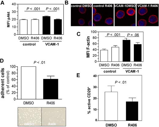 Figure 4. Responses on integrin ligation are attenuated by concomitant SYK inhibition. (A) Mean of MFI of pAkt expression in primary CLL cells cultured with or without VCAM-1–coated plates in the presence or absence of R406. Displayed are the mean values as assessed by flow cytometry (n = 9). (B) F-actin formation increased on VCAM-1 contact in DMSO control-treated cells but not in R406 pretreated cells, determined by confocal microscopy of CLL cells. Cells attached to VCAM-1 or poly-L-lysine (control)–coated slides and were stained with phalloidin-Alexa594 (representative example). (C) Quantification of F-actin formation by flow cytometry using phalloidin-Alexa488 for 7 primary CLL samples. The up-regulation induced by VCAM-1 contact in control cells (P < .001) was in part abrogated by concomitant SYK inhibition (P = .06). (D) CLL cells adhered less effective toward a VCAM-1–coated surface during SYK inhibition as determined by flow chamber analysis. The mean of triplicates for control and R406-treated samples (n = 10) were calculated, and the cell count of control-treated cells was determined as 100% (P < .01). Photographs of a representative example are displayed. (E) CLL cell treatment with R406 resulted in a reduced expression of the active conformation of CD29 compared with vehicle control (n = 20, P < .01).