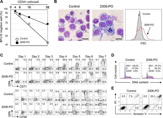 Figure 4. 2006-PO directly inhibits BFU-E growth. (A) Limiting dilution analysis of BFU-E growth from purified CD34+ cells in semisolid medium. CD34+ cells were cultured in fibrin clots in 96-well flat-bottom plates in the presence of IL-3, SCF, and EPO, with (●) or without (○) 2006-PO. After 14 days, the clots were fixed, stained for hemoglobin, and the number of clots in which BFU-E colonies did not form counted as BFU-E colony-negative wells. These data were plotted against the number of CD34+ cells plated into the wells originally. Each point represents the values obtained from 60 wells. The results are representative of 3 independent experiments. (B) Morphology and size distribution of the generated cells. Purified CD34+ cells were cultured in erythroid medium, with or without 2006-PO for 7 days and subjected to May-Grünwald-Giemsa staining (×1000). Results are representative of 5 independent experiments. Scale bars represent 10 μm. (C) Top panel: Purified CD34+ cells were cultured in erythroid medium. At the indicated days, the cells were harvested and analyzed by fluorocytometry. Results are representative of 3 independent experiments. Bottom panel: CFSE dilution assay. Purified CD34+ cells were incubated with CFSE and cultured in erythroid medium. At the indicated days, the cells were harvested and analyzed by fluorocytometry. Results are representative of 2 independent experiments. (D-E) Purified CD34+ cells were cultured in erythroid medium with or without 2006-PO for 7 days. Results are representative of 2 independent experiments. (D) Cell-cycle analysis of the generated cells. (E) The cells were labeled with propidium iodide and annexin V and analyzed using fluorocytometry.