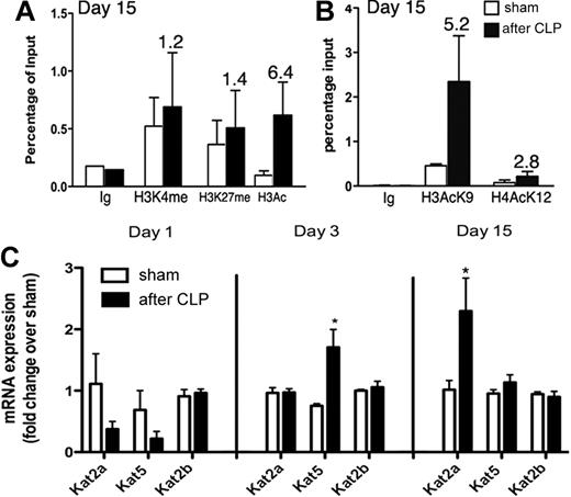 Figure 3. Up-regulation of H3K9 acetylation in Foxp3 promoter CD4+CD25− T cells from post septic mice. (A) To determine histone acetylation and methylation status at the promoter region of Foxp3, ChIP assay was performed with 1.5 × 106 FACS-purified CD4+CD25− T cells from post septic and sham mice at day 15 after surgery. (B) ChIP assay was performed with 1.5 × 106 FACS-purified CD4+CD25− T cells from post septic and sham at day 15 after surgery to determine histone acetylation at H3K9 and H4K12. Numbers above bars indicate the fold change of enrichment after immunoprecipitation (IP) in post septic versus sham mice. Data are representative of 2 independent experiments (average and SEM; n = 4 mice per group). (C) mRNA expression of Kat2a, Kat5, and Kat2b in CD4+CD25− T cells from sham and post-CLP groups at day 1, 3, and 15 after surgery. Data from days 1 and 3 are the mean ± SEM from 6 mice in each group (2 spleens pooled at each time point). Data from day 15 are the mean ± SEM from 2 independent experiments (n = 6 for sham, n = 8 for post septic mice). *P ≤ .05, when post septic mice were compared with sham mice.