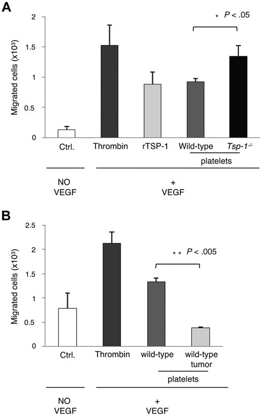 Figure 3. Endothelial cell migration increases in the presence of Tsp-1−/− platelet lysates. (A) Endothelial migration was measured in the absence of VEGF (Ctrl.) or in response to VEGF (5 ng/mL) in the presence of thrombin, rTSP-1, or platelet lysates from wild-type or Tsp-1−/− platelets activated by thrombin (P = .03). (B) Endothelial cell migration was measured in the absence of VEGF (Ctrl.) or in response to VEGF (5 ng/mL) in the presence of thrombin, or thrombin-treated platelet lysates from wild-type mice or tumor-bearing (500 mm3) wild-type mice (P = .001).