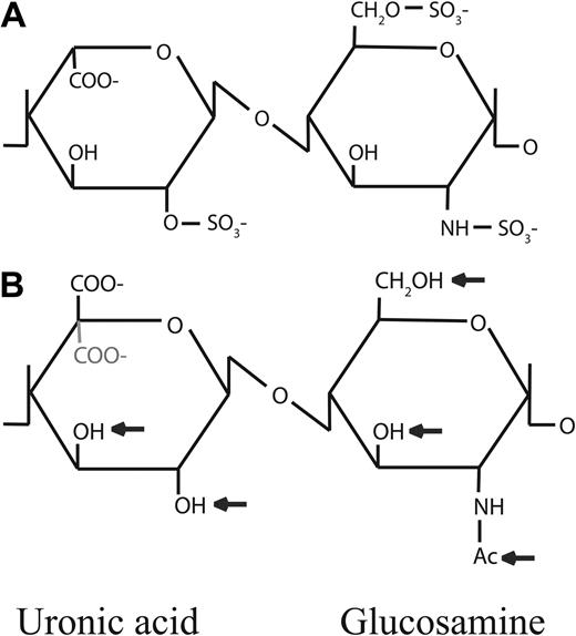 Figure 5. Structure of heparin and related molecules. (A) Heparin: the major disaccharide unit of heparin is 4-linked α-iduronic acid (IdoA) and 4-linked α-glucosamine (GlcNAc), in which IdoA is 2-O-sulfated and GlcNAc is 6-O- and de-acetyl-N-sulfated. Heparin can be modified by selective de-N-sulfation and/or de-O-sulfation. (B) K5 polysaccharide: this has the same backbone as the precursor to heparin and can be modified by addition of sulfate groups at indicated positions (arrows) and by epimerization of GlcA to IdoA (indicated in gray). This results in polysaccharides with various sulfation levels and patterns and structural features.