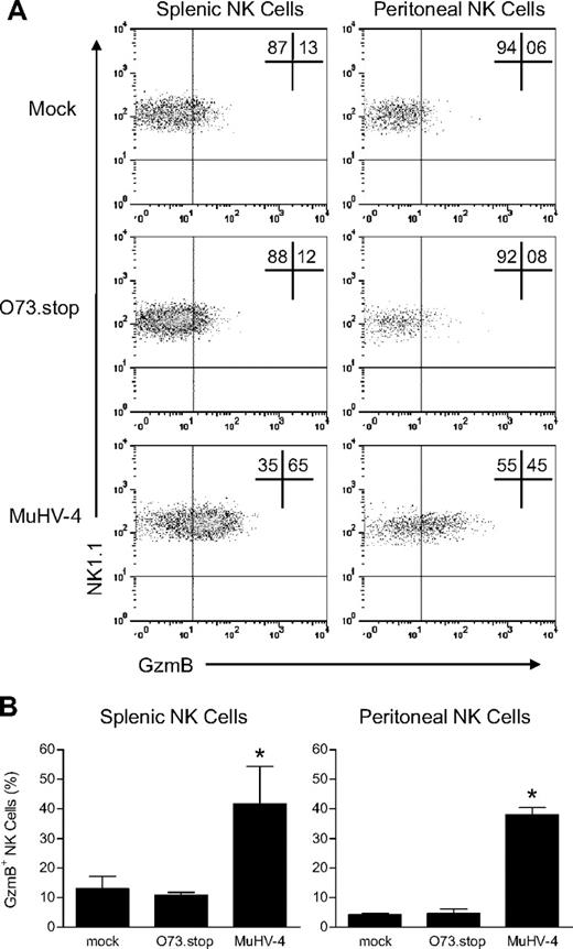 Figure 1. Latent infection with MuHV-4 arms NK cells with GzmB protein. Mice were inoculated with media (mock), MuHV-4, or latency-defective MuHV-4 (O73.stop) 31 days before flow cytometric analysis of GzmB expression in NK1.1+CD3− NK cells from the spleen and peritoneal cavity. (A) Representative density plots demonstrating GzmB expression within NK1.1+CD3− NK cells. (B) Pooled data (10 mice per condition) showing the mean ± SD percentage of NK cells that express GzmB protein. These data are representative of 4 independent experiments, *P < .009 (MuHV-4 vs O73.stop or mock).