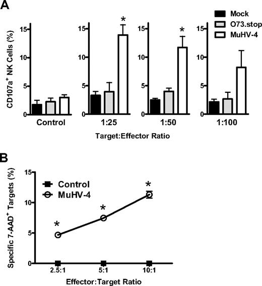 Figure 2. Latent infection with MuHV-4 enhances NK-cell degranulation and cytotoxicity. (A) Latent infection with MuHV-4 increases NK-cell degranulation. Peritoneal cells from mock, O73.stop, or MuHV-4 latently infected mice were cultured ex vivo with YAC-1 target cells at the indicated target:effector ratios for 2 hours, followed by flow cytometric analysis of CD107a expression on the surface of NK1.1+CD3− NK cells. Control mice were incubated without targets. Bars represent the mean ± SD of 5 to 10 mice per group. *P < .032 (MuHV-4 compared with mock or O73.stop). These data are representative of 2 independent experiments with 15 to 20 total mice per condition. (B) Latent infection with MuHV-4 induces cytotoxic activity by NK cells. Peritoneal cells from control (naive) mice and mice infected 28 days previously with MuHV-4 were enriched for NK cells and then coincubated with RMA-S target cells for 4 hours at the indicated effector:target ratios before analysis of target cell death by 7-AAD. *P < .003 (MuHV-4 vs control). These data are representative of 2 independent experiments with 20 to 30 mice per group per experiment.