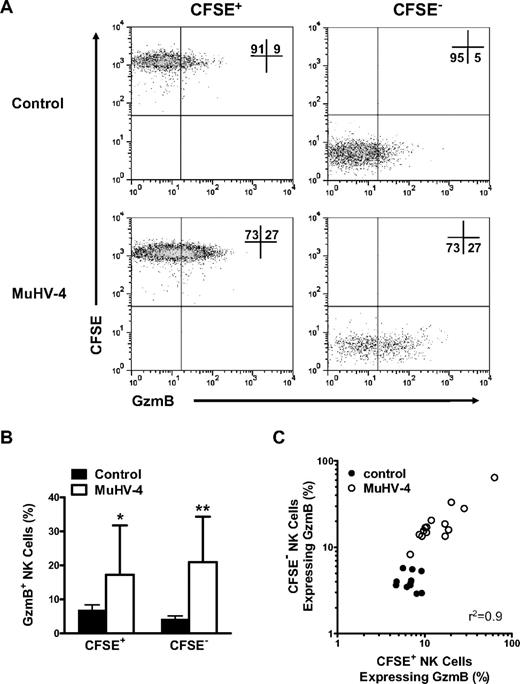 Figure 4. NK cells express increased GzmB protein after short-term exposure to the latent MuHV-4 environment in vivo. Latently infected mice (28 days after infection with MuHV-4) were injected intraperitoneally with CFSE-labeled splenocytes from B6.RAG1−/− donors as a source of naive NK cells. Mock-infected and naive recipient mice were used as controls. At 72 hours peritoneal cells were harvested and analyzed for CFSE and GzmB expression in NK1.1+CD3− NK cells. (A) Representative flow cytometric density plots illustrating the expression of GzmB protein in transferred (CFSE+) versus endogenous (CFSE−) NK cells. (B) Pooled data from 2 independent experiments showing the mean ± SD percentage of NK cells that express GzmB. *P = .027 and **P < .001 (MuHV-4 vs control, 11-14 mice per group). (C) Correlation of GzmB protein expression between transferred versus endogenous NK cells in each mouse. Each dot represents one mouse. Correlation coefficient (r2) = 0.9 in latently infected hosts.