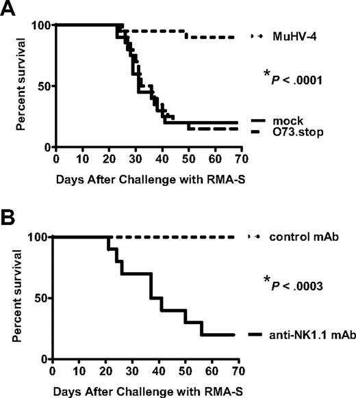 Figure 5. NK cells in latently infected mice protect against a lethal RMA-S lymphoma challenge. (A) Mice were inoculated with medium (mock), MuHV-4, or latency-defective MuHV-4 (O73.stop) 29 days before injection with 103 RMA-S cells intraperitoneally and then followed for survival. These data are pooled from 3 independent experiments with a total of 20 mice per group. *P < .001 (MuHV-4 vs either control). (B) Mice were inoculated with MuHV-4 35 days before injection with anti-NK1.1 or control monoclonal antibody (mAb). One day later, all animals were challenged with RMA-S as in panel A. Antibody injections were continued every 6 to 8 days for the duration of the experiment. These data are pooled from 2 independent experiments with a total of 10 mice per group. *P < .001 (anti-NK1.1 vs control).
