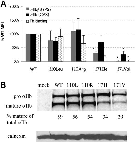 Figure 3. Analysis of BHK cells harboring WT β3 with WT αIIb or αIIb with substitutions of Trp110 or Phe171 by hydrophobic residues. (A) Flow cytometry of cells harboring Trp110Leu or Trp110Arg exhibited surface expression of αIIbβ3 and fibrinogen binding that was not significantly different from WT cells, whereas Phe171Ile and Phe171Val mutants exhibited reduced αIIbβ3 expression and fibrinogen binding. Binding is shown as mean percentage of WT MFI ± SD (mean of at least 3 different transfections). *P < .05. (B) Immunoblotting of cell lysates on Tris-acetate 3% to 8% gels developed with monoclonal antibody against αIIb (SZ22). Percentage mature αIIb of total αIIb was calculated by measuring band intensity for each cell line using the EZQuant densitometry program.