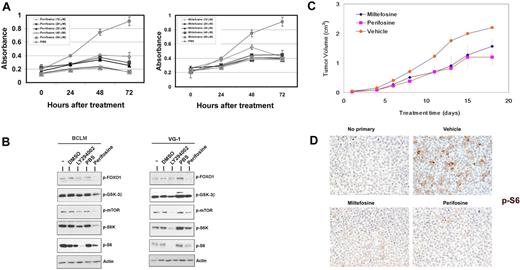 Figure 4. Effects of alkylphospholipids on PEL. (A) Inhibition of PEL cell proliferation induced by miltefosine (right panel) and perifosine (left panel) as measured by MTS assay. Shown in each panel is the absorbance at 490 nm (y-axis) in the absence of drug (gray circles) or increasing, indicated doses of either miltefosine or perifosine, ranging from 10μM to 50μM. Treatment time is represented on the x-axis. Each data point is the average of triplicate or quadruplicate measurements. Error bars represent the SD and, in most cases, are smaller than the symbol. (B) Immunoblot analysis of extracts harvested from indicated PEL cell lines treated with DMSO (vehicle), the indicated drug, or untreated cells (−). Membranes were probed with antibodies raised specifically against the phosphorylated forms of FOXO1, GSK3β, mTOR, S6K, or S6 proteins. Membranes were probed with anti-actin antibody, as a loading control. (C) Tumor progression is delayed in miltefosine-treated mice and significantly delayed in perifosine-treated mice. Mice were treated with 50 mg/kg miltefosine (n = 5), perifosine (n = 5), or vehicle (n = 5) by intraperitoneal injection and followed for 20 days after formation of palpable tumors. Error bars represent the SD for each group of animals. (D) Tumors excised from miltefosine- and perifosine-treated mice display decreased phosphorylation of the ribosomal S6 protein, compared with vehicle controls. Staining is not observed in sections not incubated with primary antibody. Original magnification ×400.