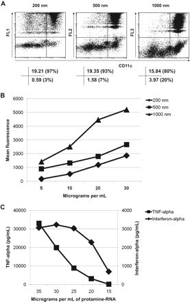 Figure 6. The activation threshold is higher for monocytes than for pDCs. Fresh human PBMCs were incubated for 4 hours with 10 μg/mL fluorescent spheres (A) or 5, 10, 20, or 30 μg/mL fluorescent spheres (B) stained by APC-labeled CD11c and analyzed by fluorescence-activated cell sorting. The dot plots presented in panel A and analyzed in panel B were gated on monocytes on the basis of forward-side light scatter plot (gate r9, supplemental Figure 6A, or gate r3, supplemental Figure 6B). The value in each quadrant in panel A indicates the percentage of cells as a percentage of total cells. In panel B, mean fluorescence (FL1 for 200 nm, FL2 for 500 nm, and FL3 for 1000 nm) of CD11c+ cells at different particle concentrations is shown. (C) TNF-α and interferon-α present in the supernatant of fresh human PBMCs incubated 24 hours with 15, 20, 25, 30, or 35 μg/mL protamine RNA nanoparticles (220 nm) was tested by ELISA. The data shown are representative of 3 independent experiments.