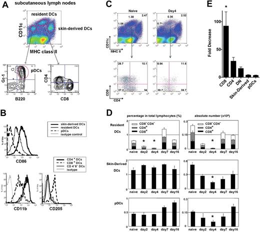 Figure 1. Effect of CTX on the absolute and relative numbers of different DC subsets in lymph nodes. Mice were treated with CTX (150 mg/kg) by intraperitoneal injection and killed 2, 4, 7, and 16 days after drug administration. Subcutaneous LNs and spleen were harvested, digested, and assessed for the number and proportion of skin-derived migratory DCs (CD11cint, MHC IIhigh), resident DCs (CD11chigh, MHCint), or pDCs (CD11cint, MHClow, B220+, Gr1+) at the time points indicated and compared with untreated naive controls. (A) DC subsets in subcutaneous LNs and spleen of naive mice stained for CD4, CD8, and (B) CD86, CD11b, and CD205. Representative plots of naive LN DCs and LN DCs 4 days after CTX treatment (C). The proportions of skin-derived DCs, resident DCs, and pDCs in the LNs as measured by flow cytometry at various time points after the administration of CTX (D). Absolute cell number of different DC subsets was also counted using the total cell count of LN cells. Fold decrease in absolute number of LN DC subsets 4 days after CTX treatment (E). CD8 indicates CD8+ resident DCs; CD4, CD4+ resident DCs; DN, CD8−CD4− resident DCs; and pDC, plasmacytoid DCs. Data are representative of 4 independent experiments. *Statistically significant.