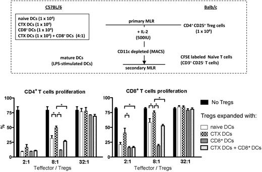 Figure 4. Tregs expanded with DCs from CTX-treated mice have less suppressor activity. Isolated CD4+ CD25+ Tregs from Balb/c mice were cocultured with different DC subsets (DCs from naive mice, DCs from CTX-treated mice, CD8+ DCs, and DCs from CTX-treated mice + CD8+ DCs) from B6 mice (primary MLR). After 7 days, Tregs expanded with different DC subsets were mixed with 105 CFSE-labeled CD25− CD3+ T cells in various ratios (2:1-32:1) and stimulated with irradiated mature DCs activated with LPS (secondary MLR). At 5 days after secondary MLR culture, T-cell proliferation was examined by measurement of CFSE dilution. Results are the mean ± SEM of triplicate wells. Data are representative of 2 independent experiments. *Statistically significant.