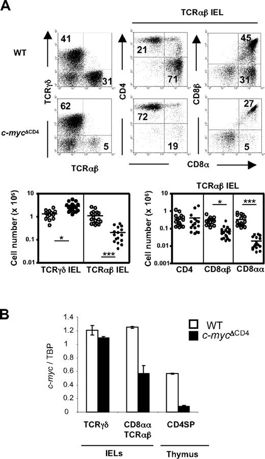 Figure 1. Selective impairment of CD8αα TCRαβ IEL development in c-mycΔCD4 mice. (A) IELs from WT and c-mycΔCD4 mice were stained with TCRγδ, TCRαβ, CD4, CD8α, and CD8β. Dot plots represent staining of TCRγδ versus TCRαβ in total IELs, and CD4 versus CD8α and CD8β versus CD8α in the TCRαβ+ IEL population. Numbers in the dot plots indicate the percentage of cells represented in the quadrant. The charts below the dot plots represent the absolute numbers of the indicated IEL subsets in individual mice (○ represents WT mice; and ●, c-mycΔCD4 mice). Horizontal line in each group represents the mean value. Statistically significant differences: *P < .05, ***P < .001. (B) cDNA from the indicated sorted populations was assayed for c-myc expression by quantitative PCR. c-myc levels were normalized to TBP and presented in arbitrary units. Error bars indicate mean ± SD.